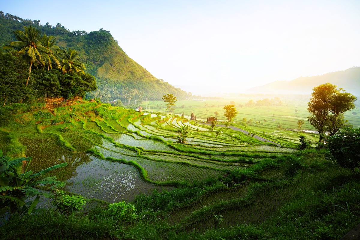 Destination image