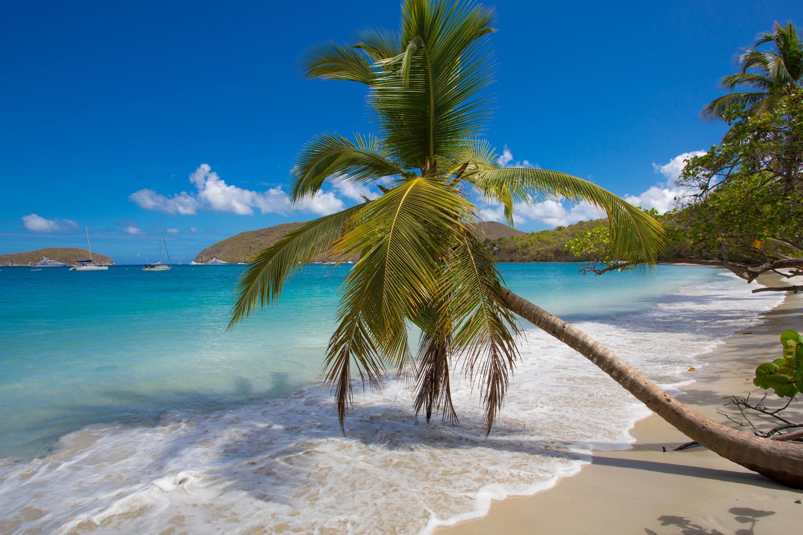 Icon image 5 Days Island hopping in the Virgin Islands