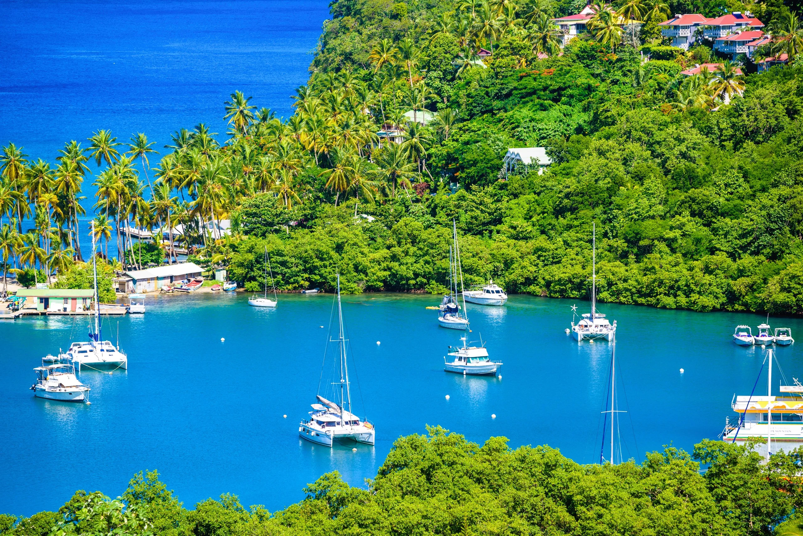 7-Day Adventure in The Grenadines