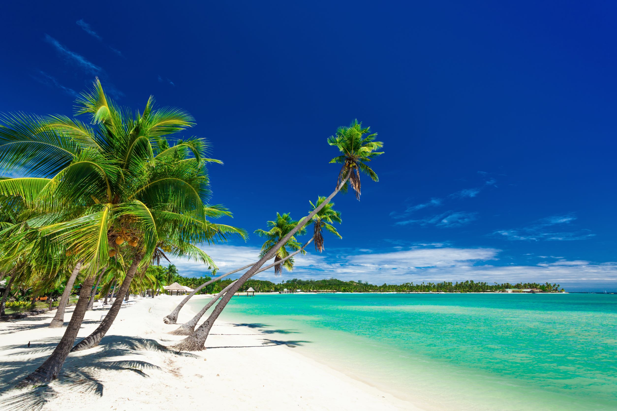 7 Days in Fiji