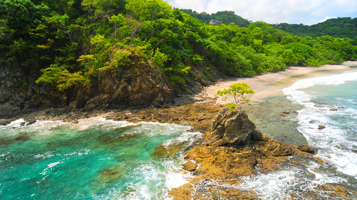 Day 6 - Golfo Dulce