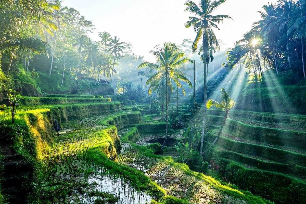 Indonesia
