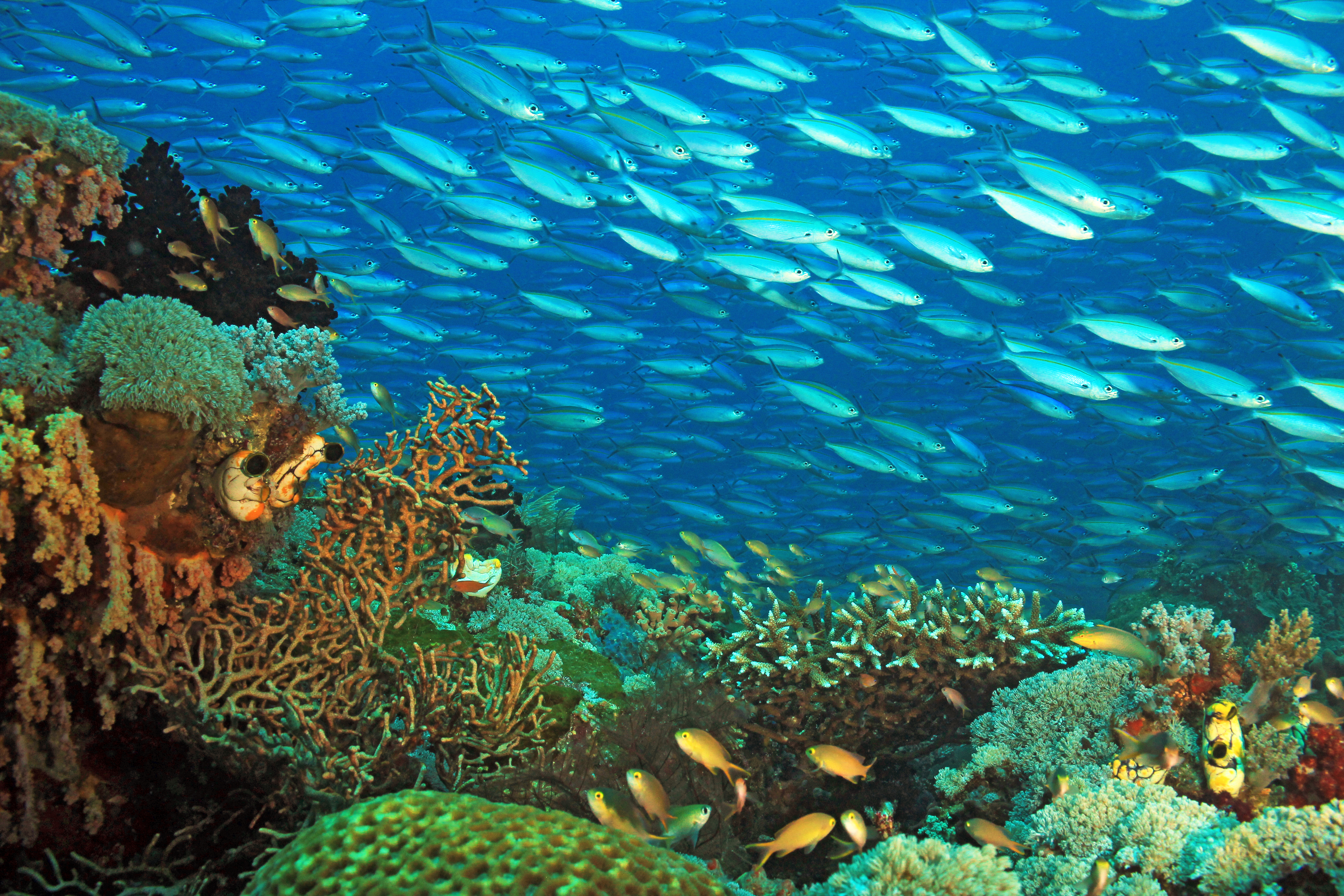 Indonesia Yacht Charter