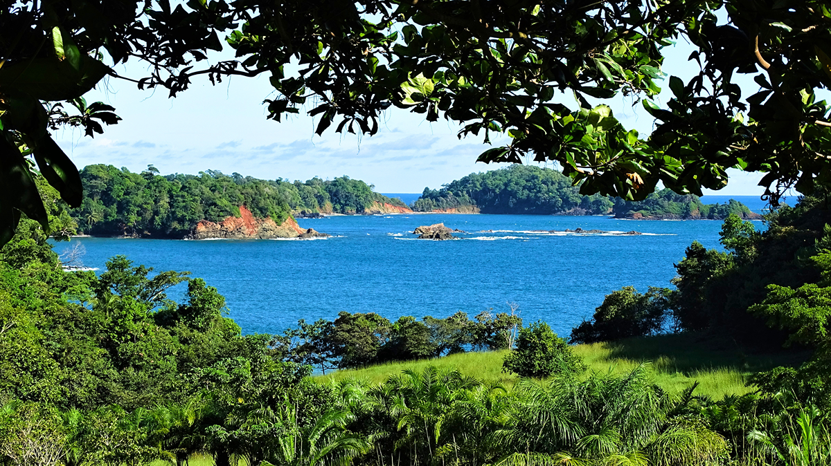 Day 7 - Isla Parida