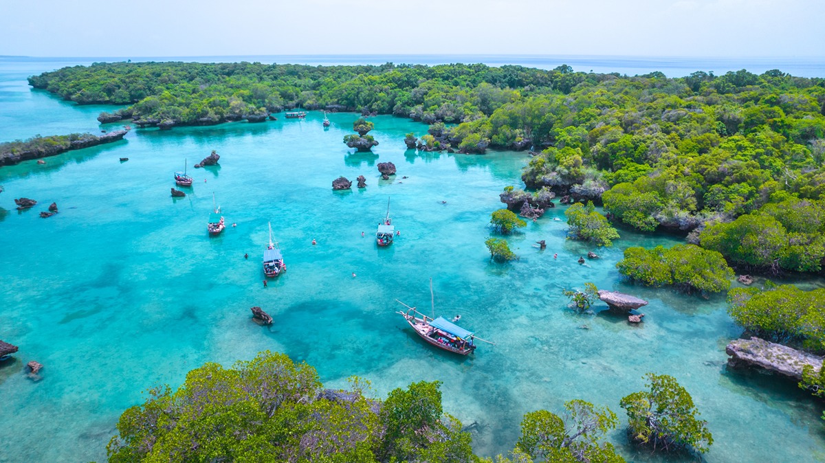 Day 5 - Pemba Island