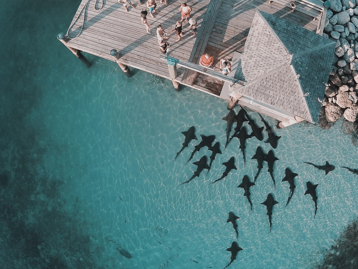 5 days in the Northern Exumas