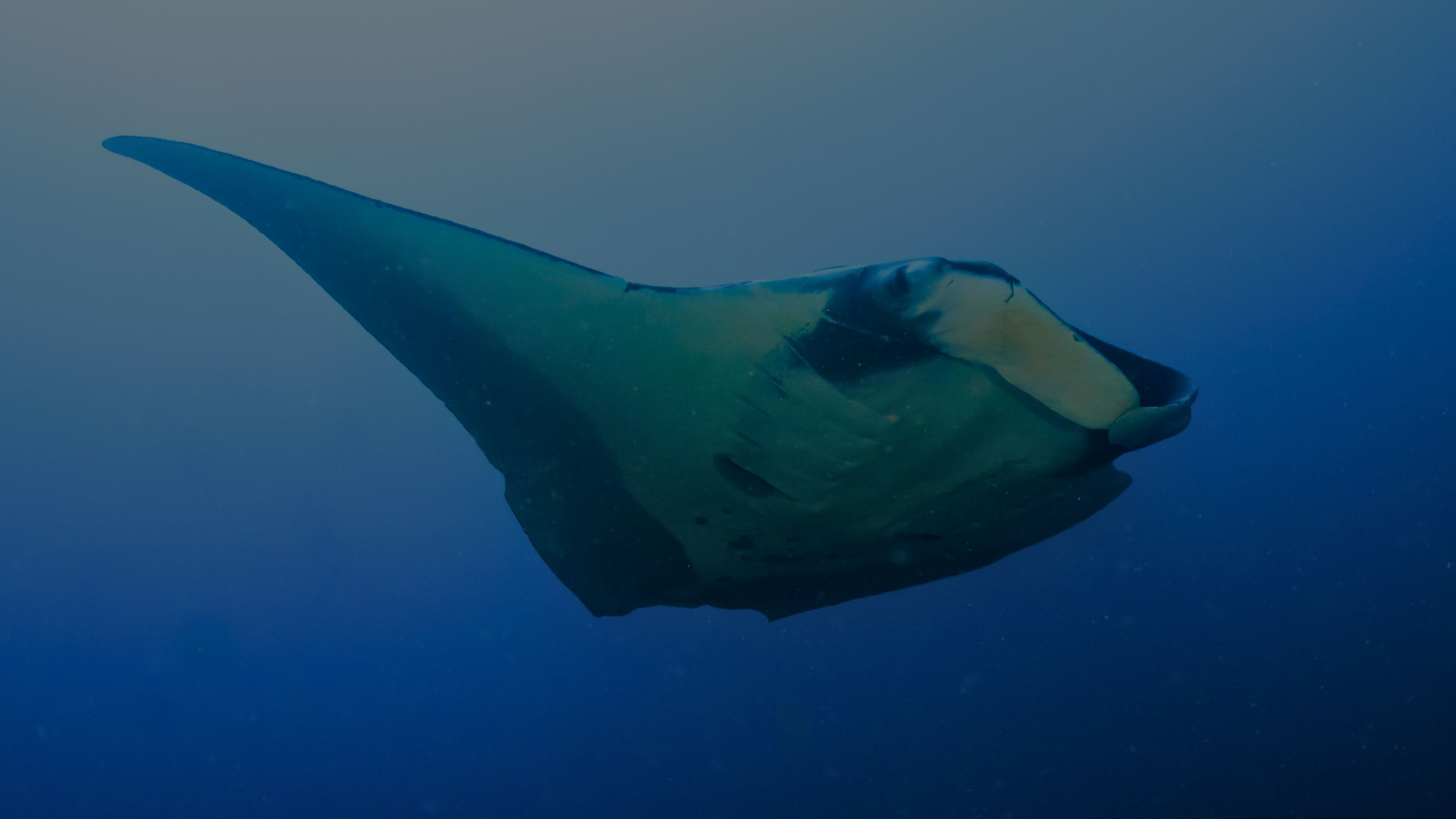 Andaman Sea Yacht Charter