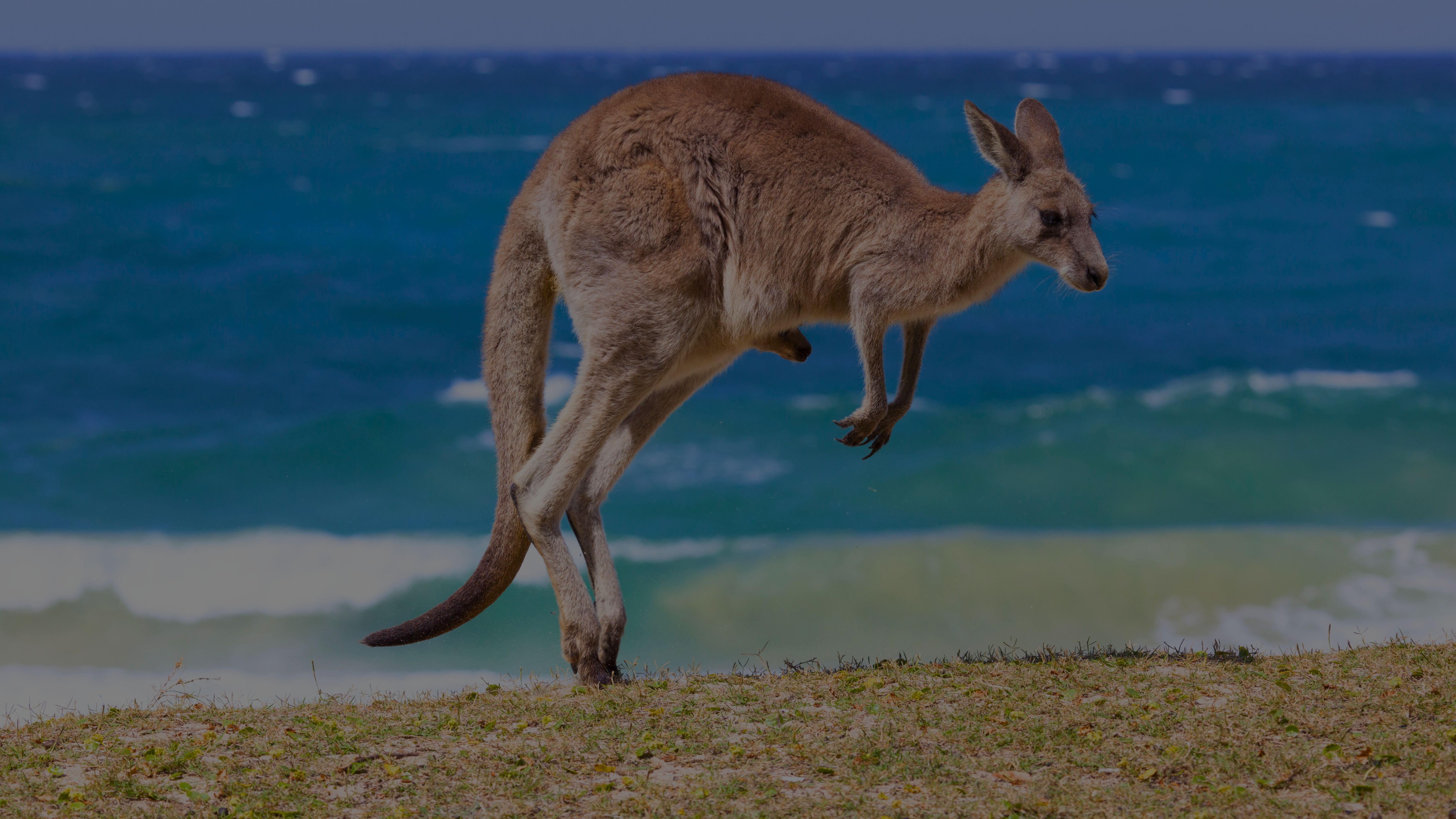 Australia Yacht Charter