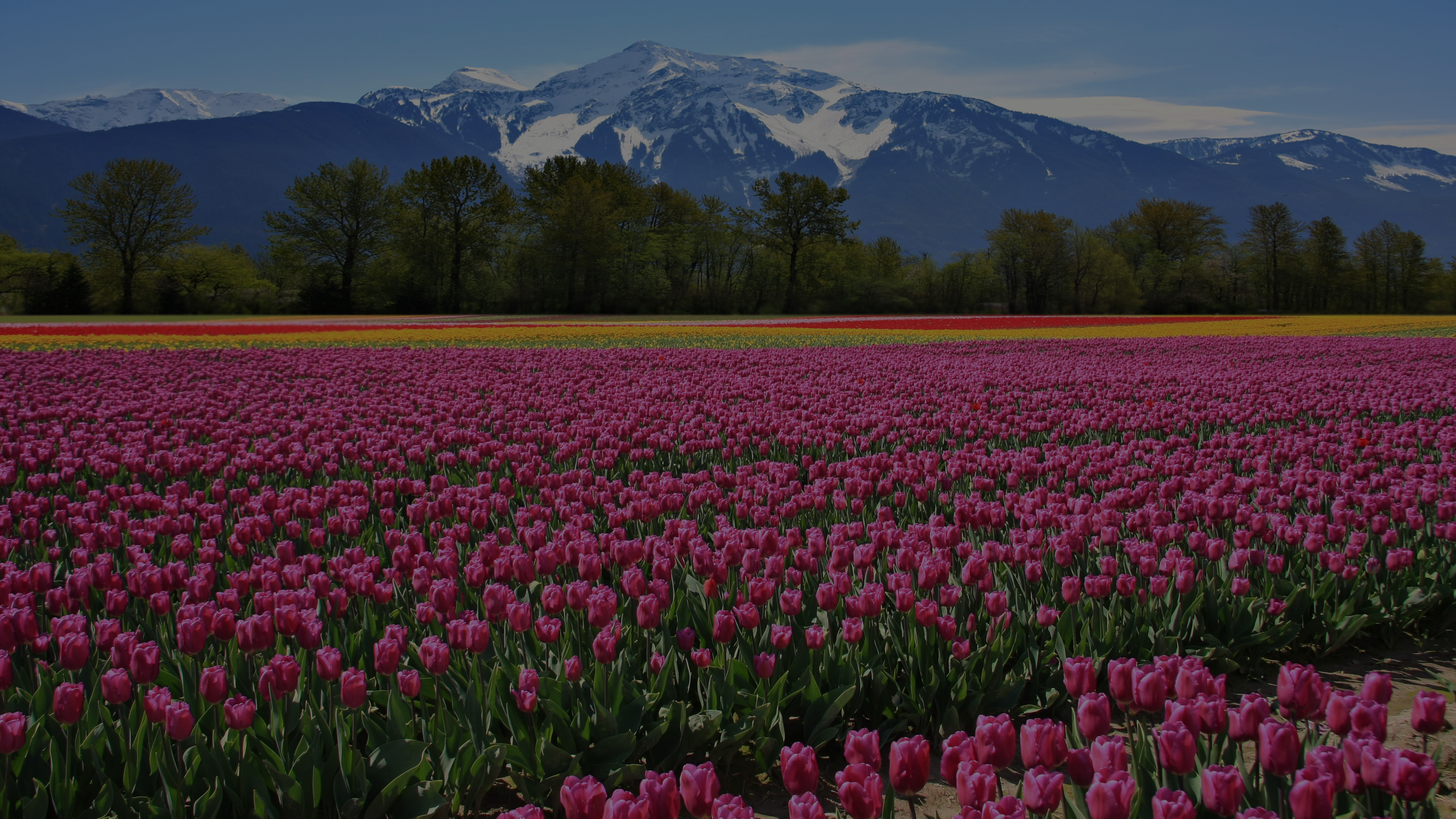 British Columbia Yacht Charter