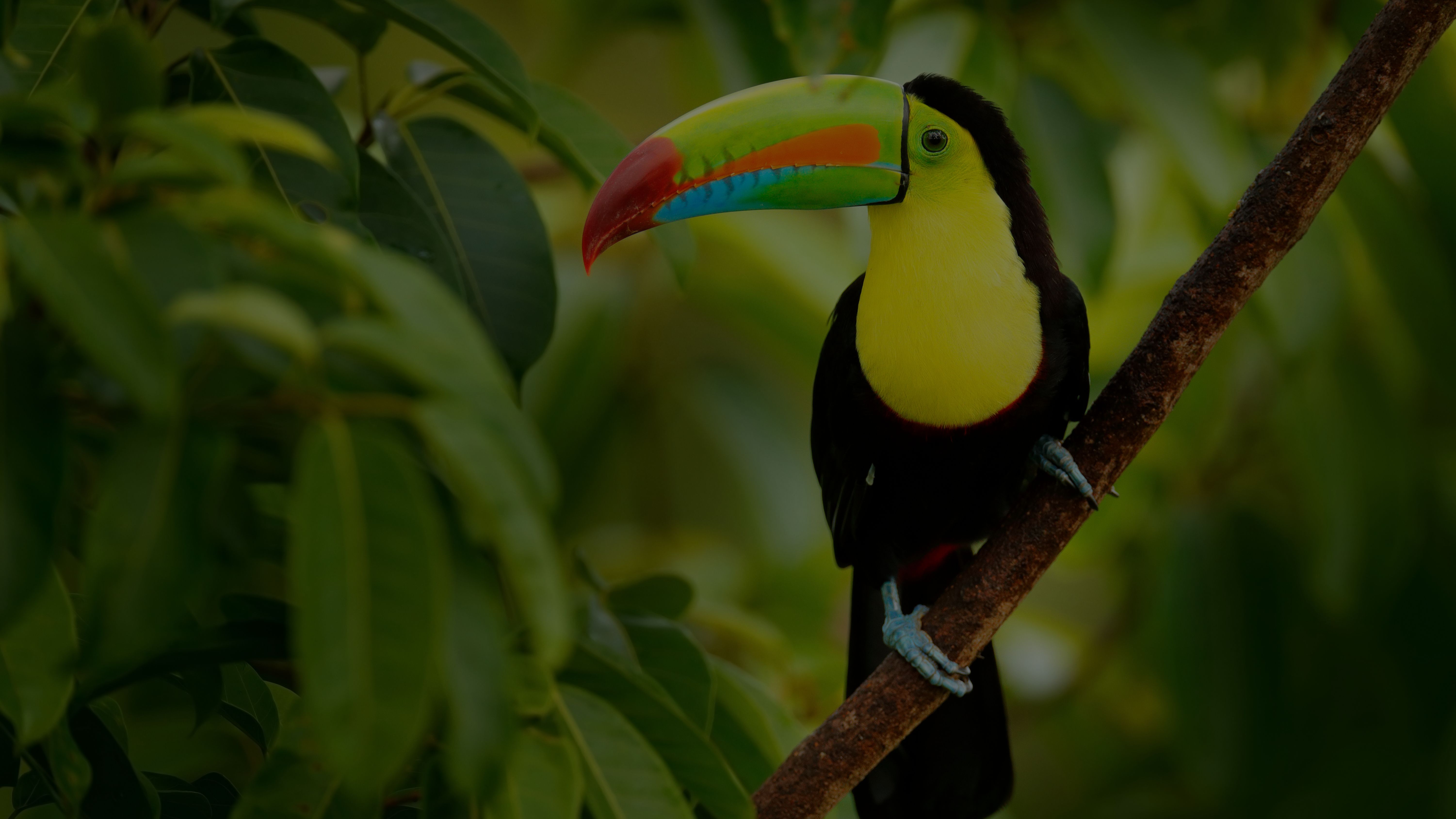 Costa Rica Yacht Charter
