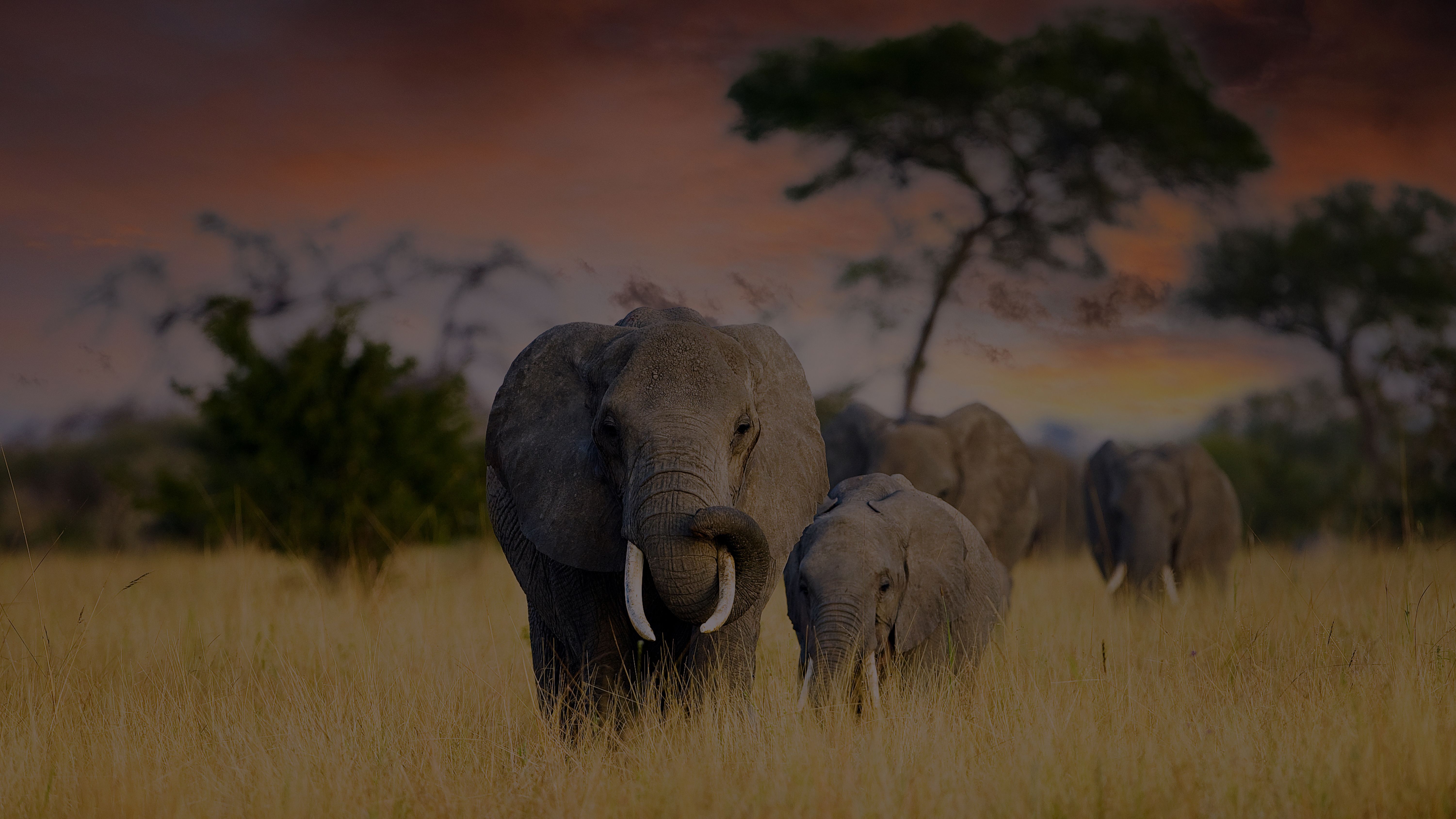 East Africa Yacht Charter