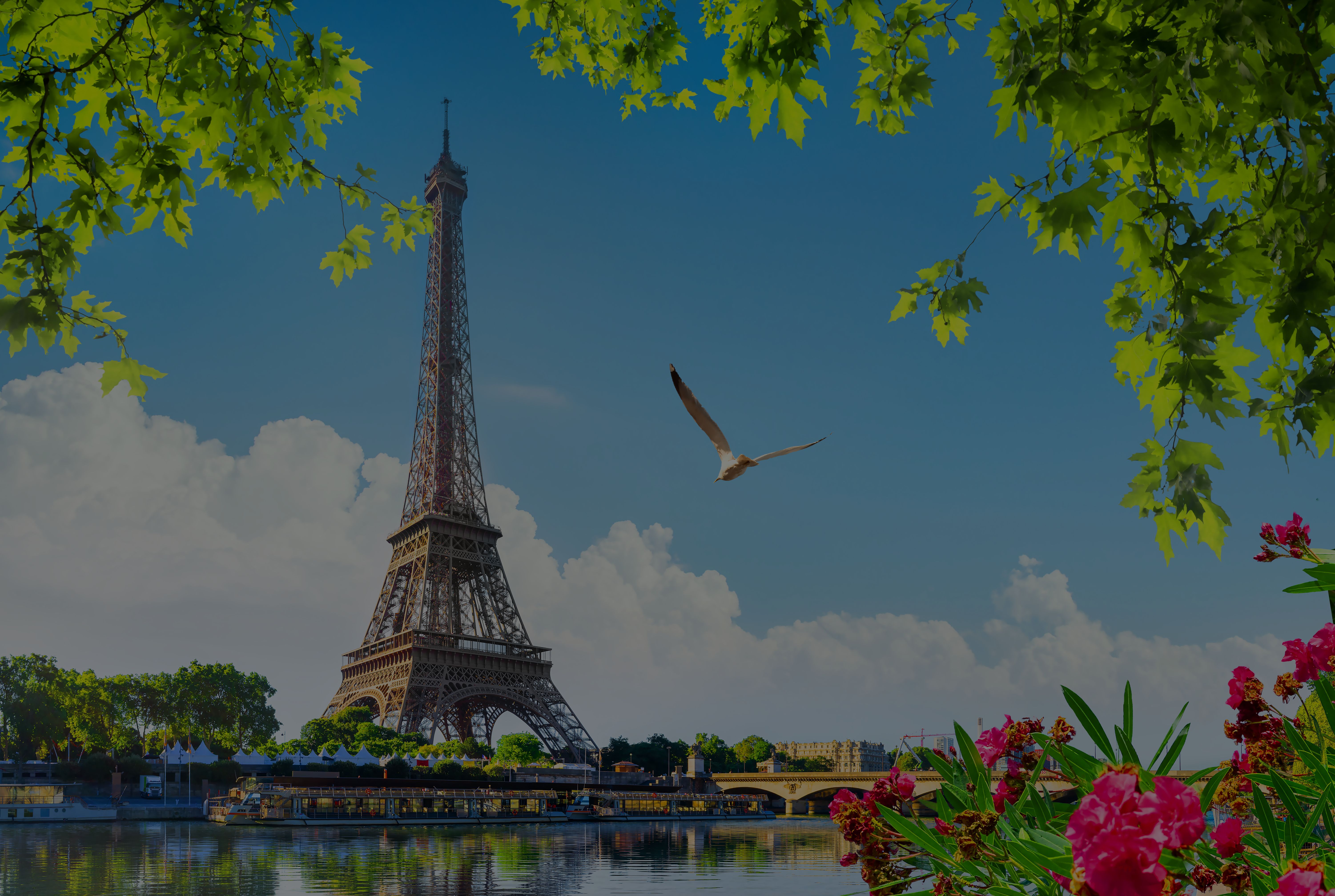 France Yacht Charter