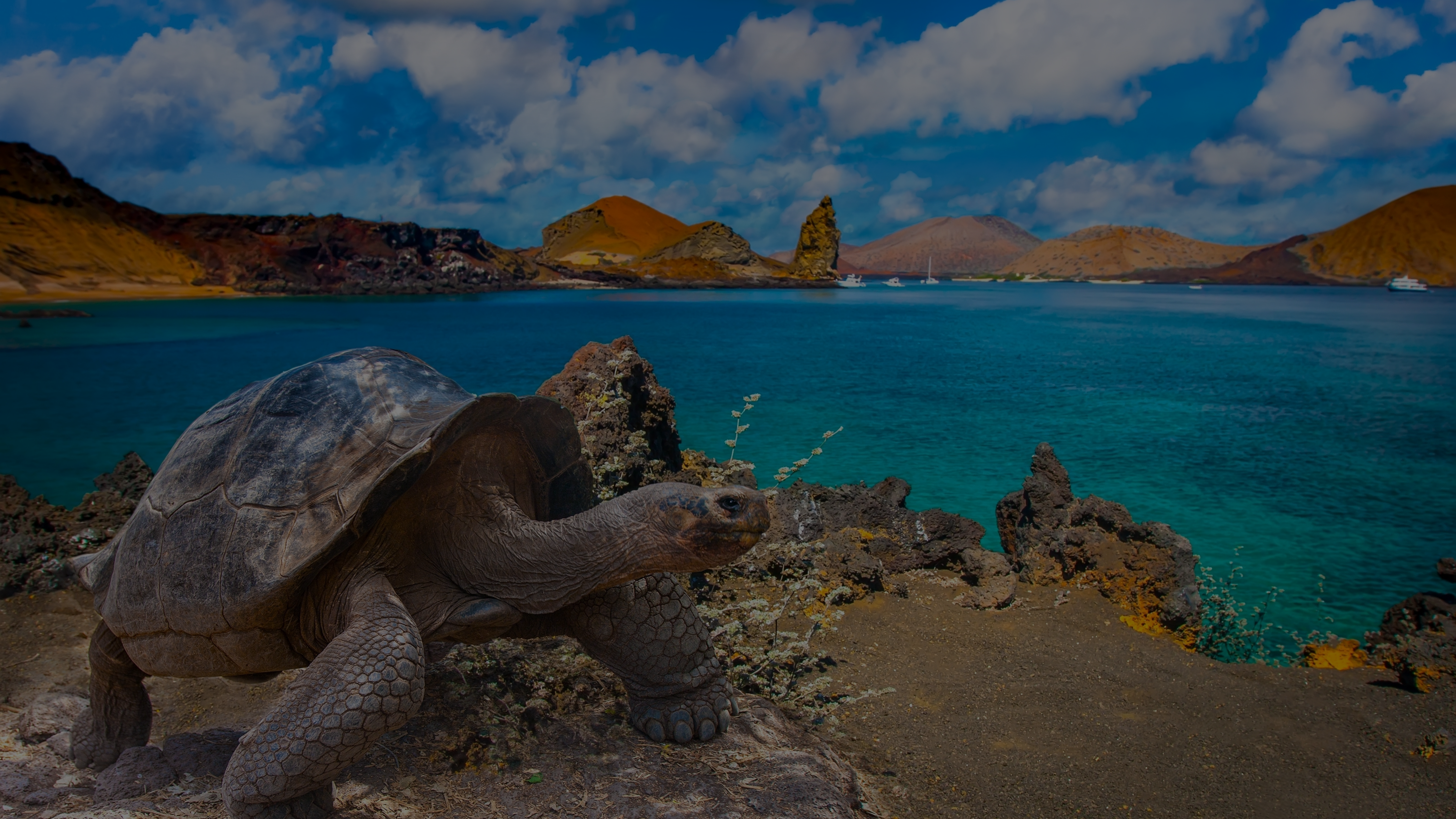Galapagos Islands Yacht Charter