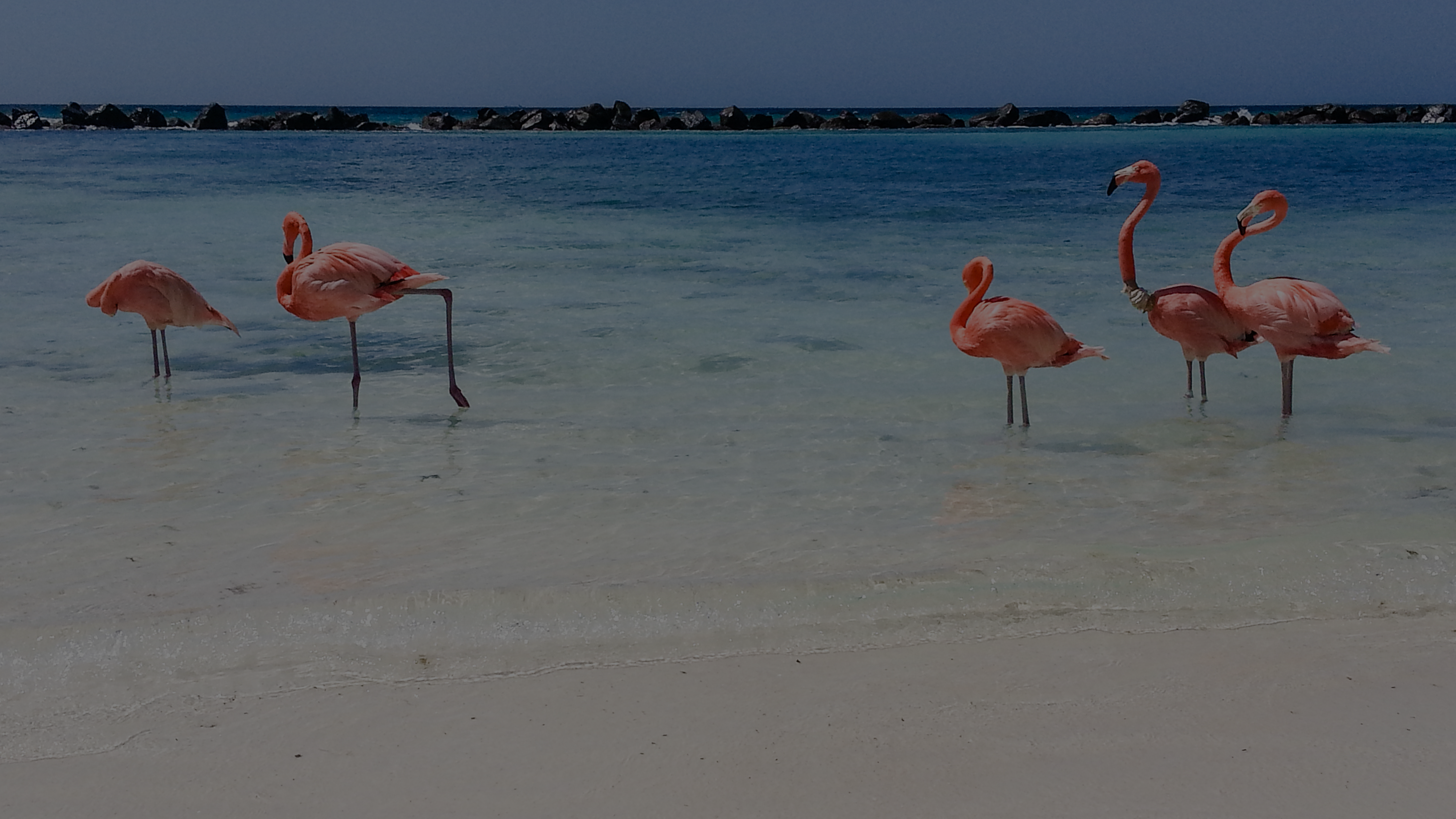 Greater Antilles Yacht Charter