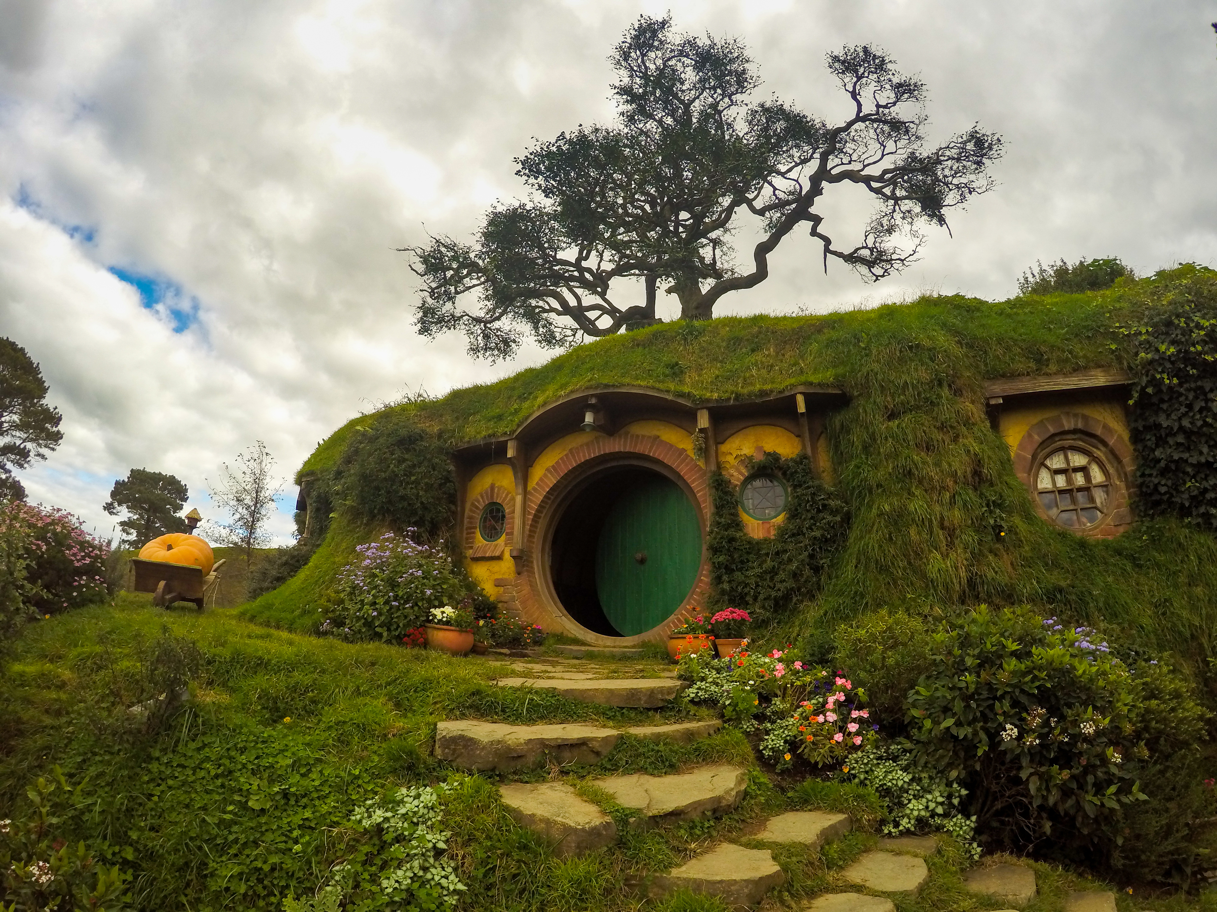 6 Days Adventure in New Zealand