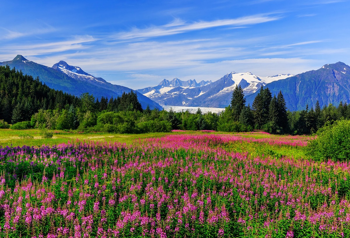 6 Days in Alaska