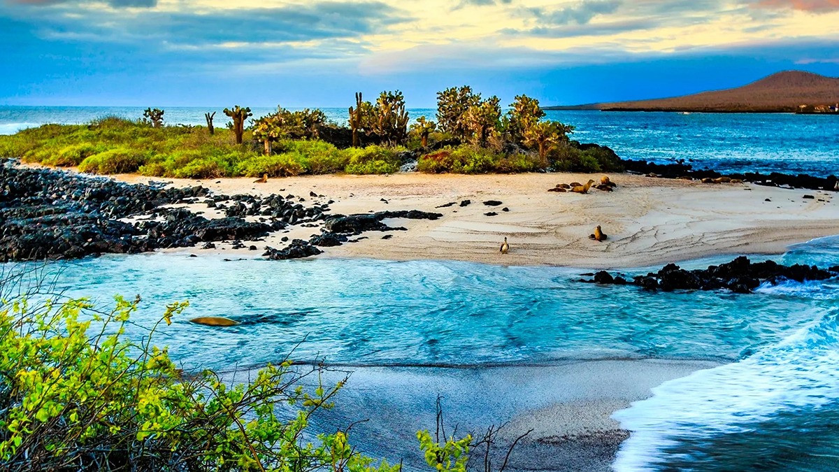 6 Days in Galapagos Island
