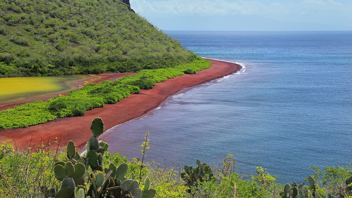 Day 6 - Rabida Island