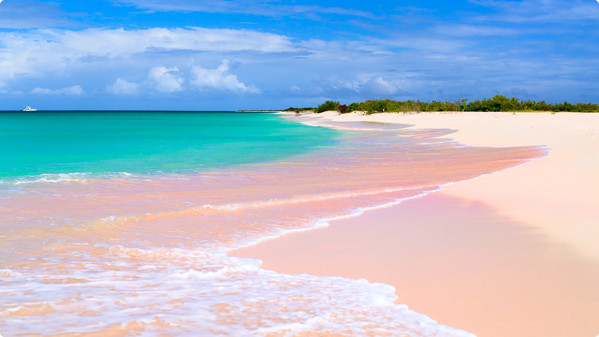 Day 8 - Barbuda