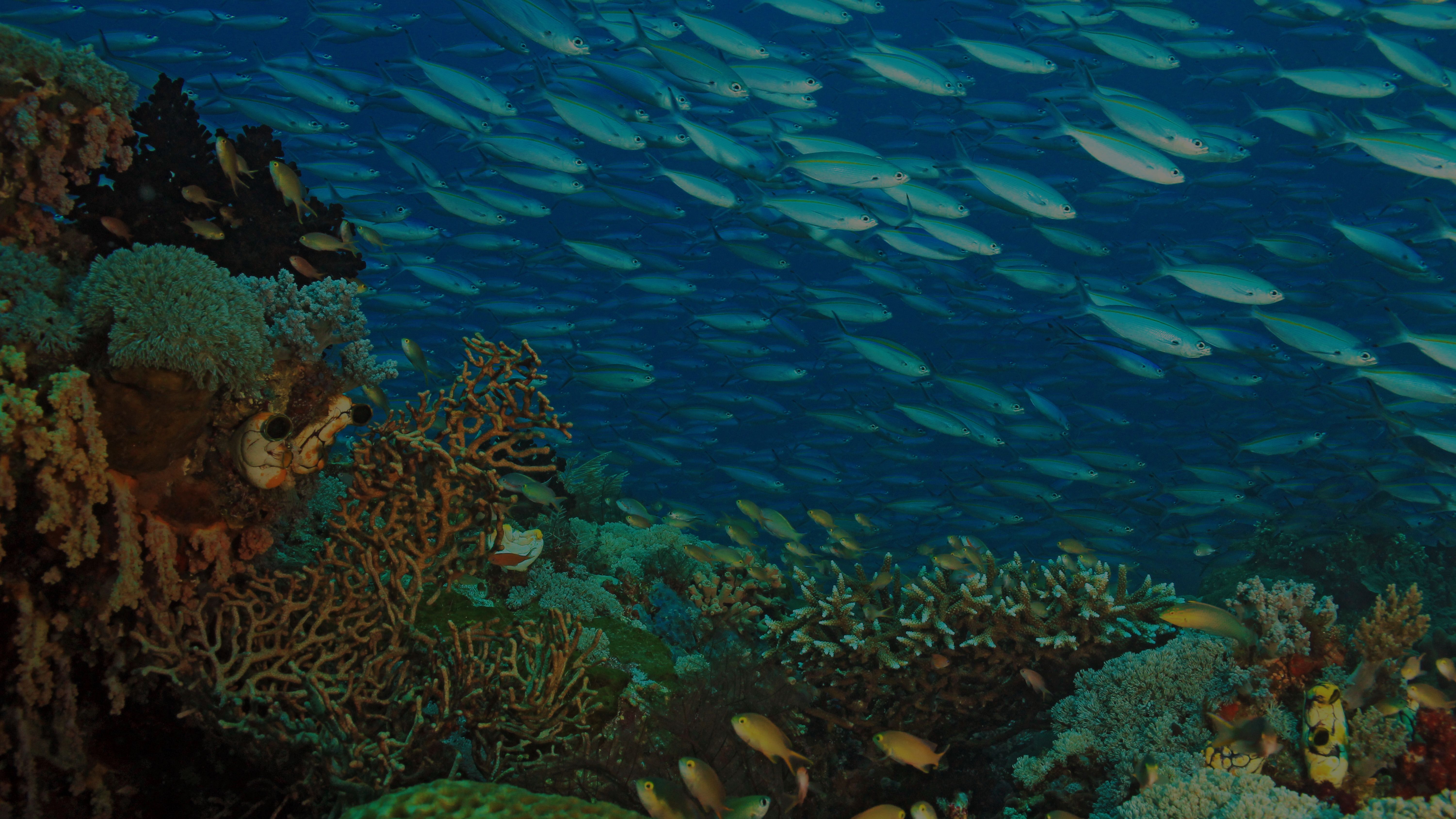 Indonesia Yacht Charter
