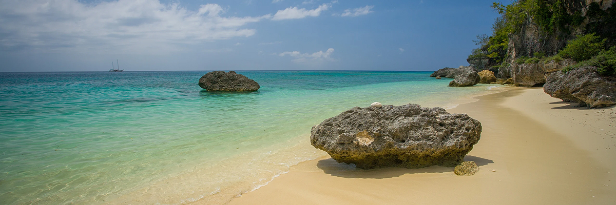 Day 6 - Moso Island