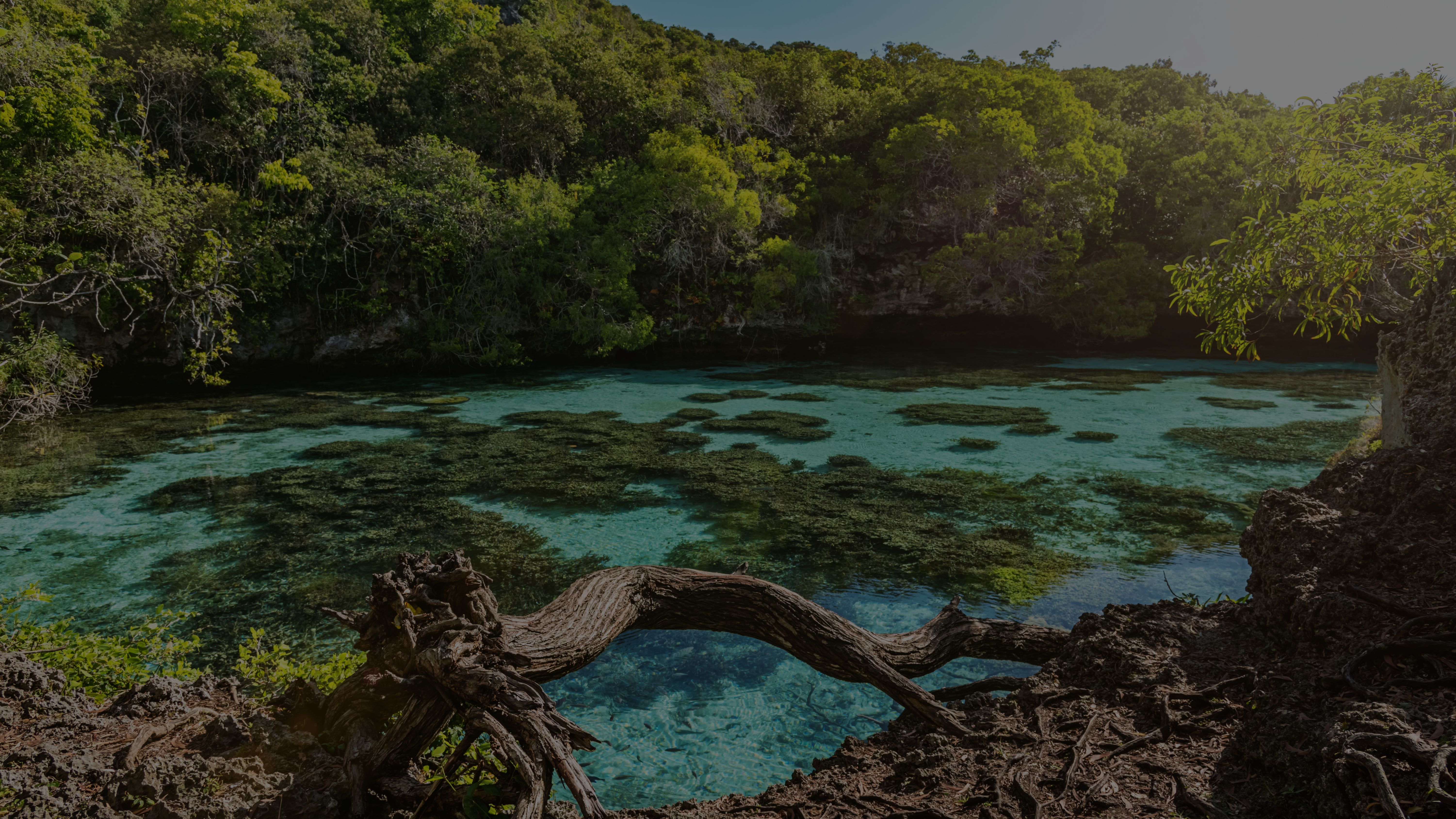 New Caledonia Yacht Charter