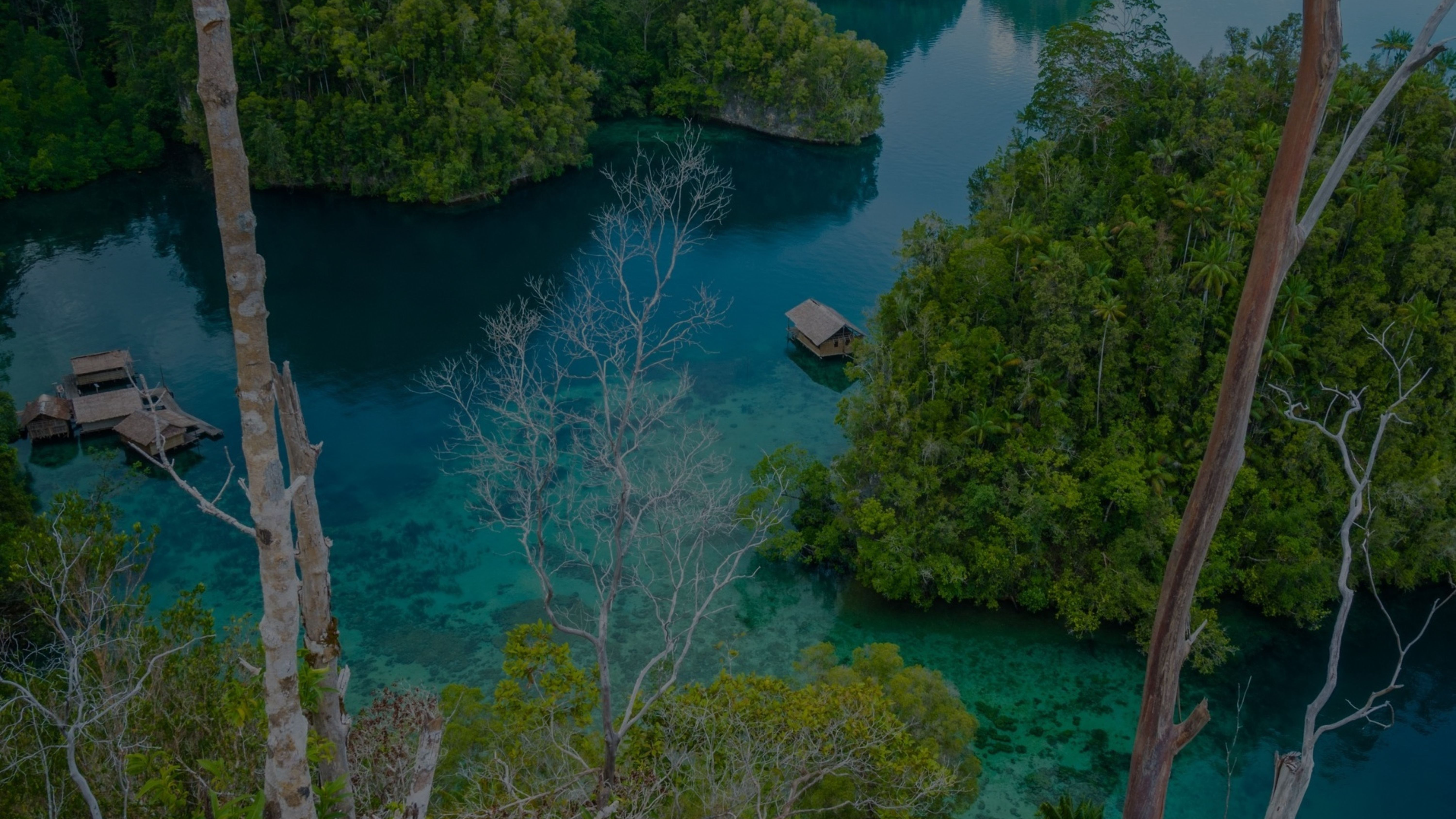 Raja Ampat Yacht Charter