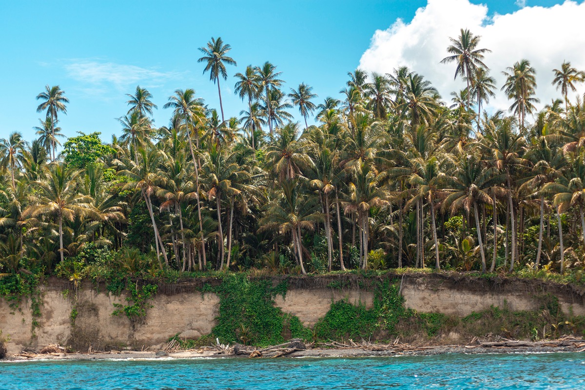 Day 4 - Savo Island