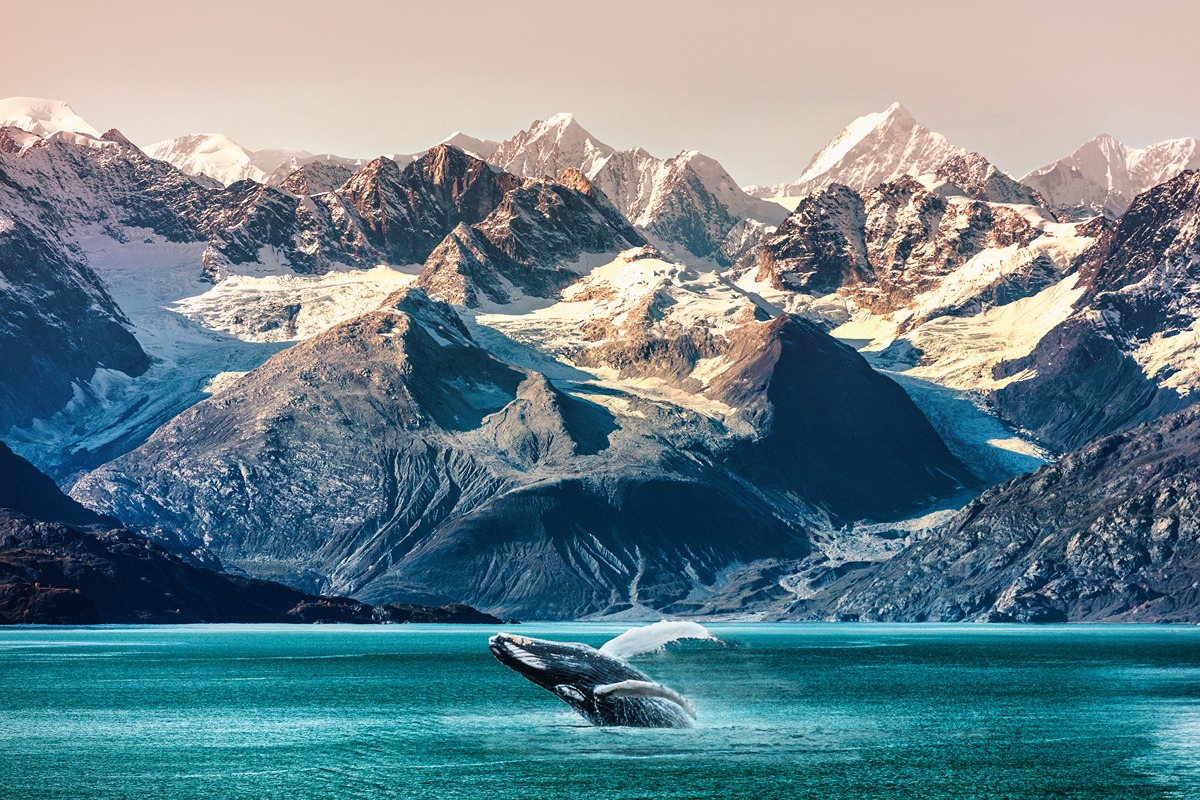 Destination image