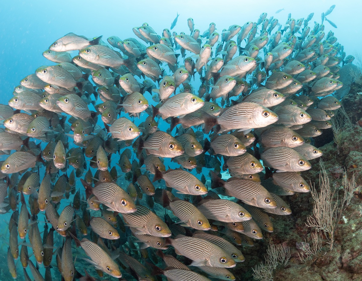 9 Days of Untamed Cruising Through Costa Rica and Panama