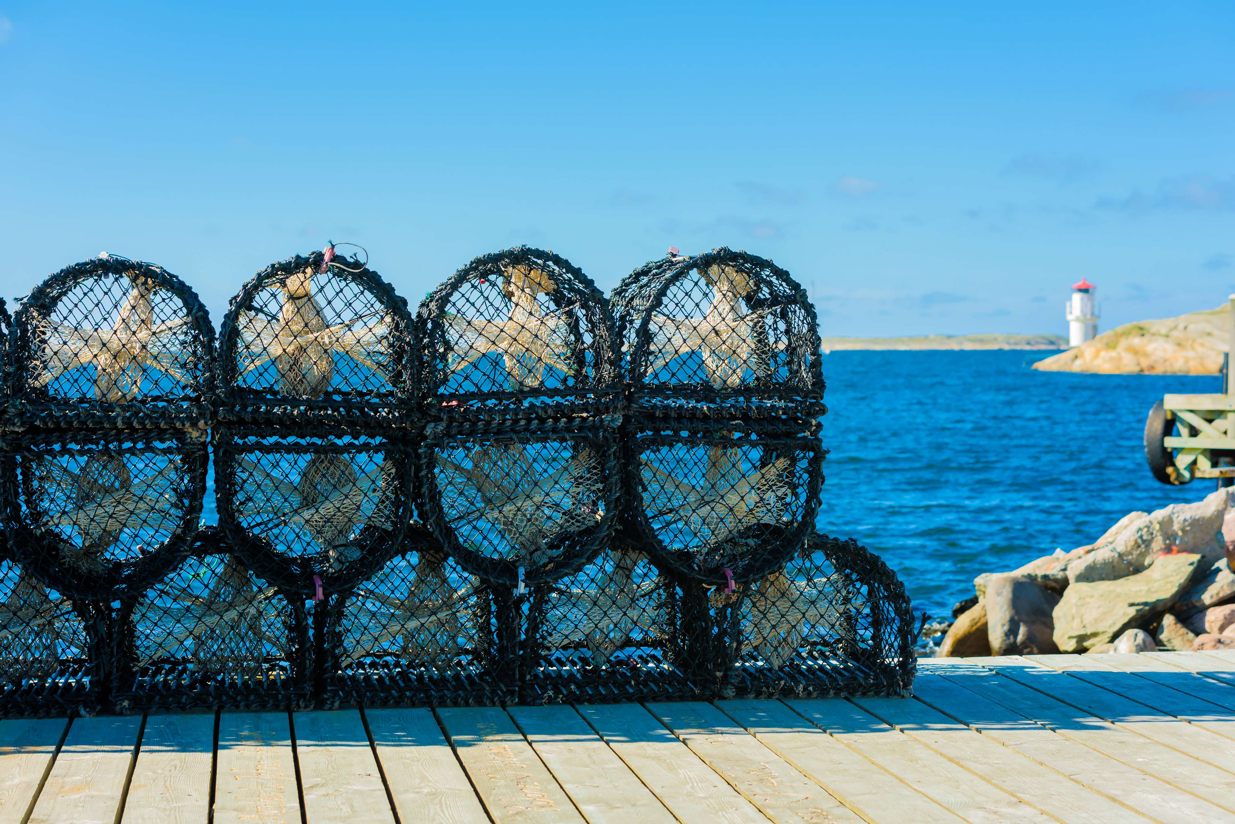 8 Days Along the Swedish Riviera to Copenhagen