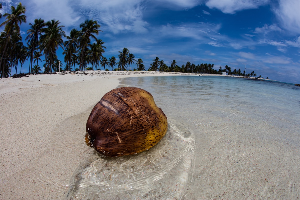 Day 4 - Half Moon Caye